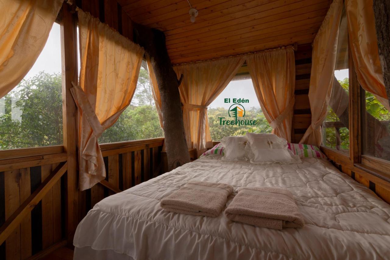 Vila Eden Treehouse Mindo Exteriér fotografie