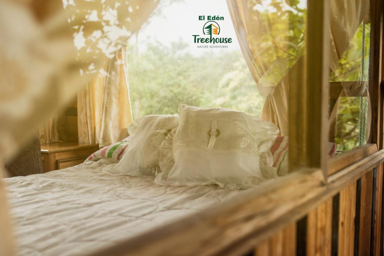 Vila Eden Treehouse Mindo Exteriér fotografie
