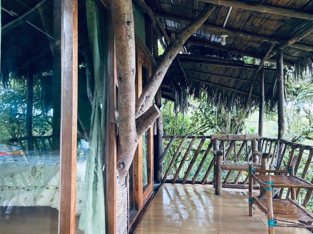 Vila Eden Treehouse Mindo Exteriér fotografie