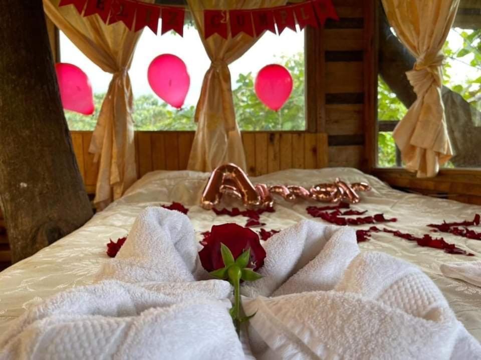 Vila Eden Treehouse Mindo Exteriér fotografie