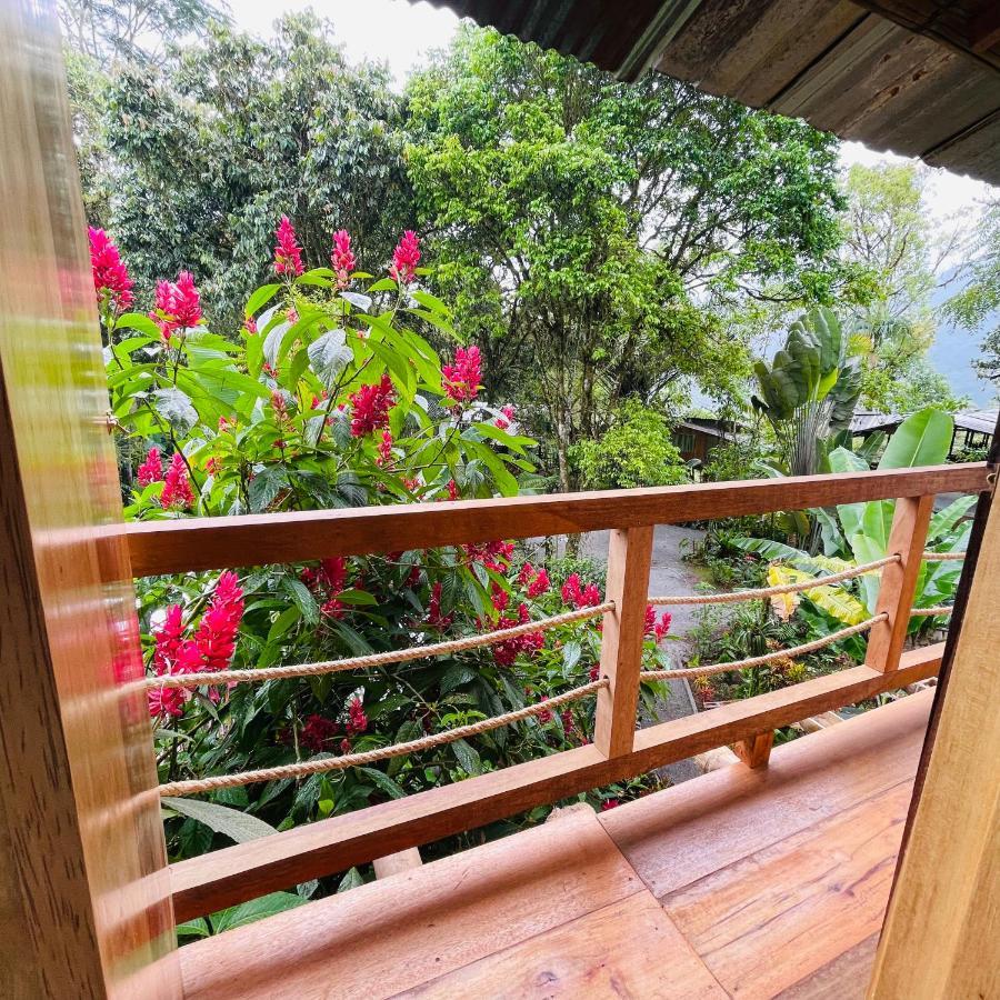Vila Eden Treehouse Mindo Exteriér fotografie