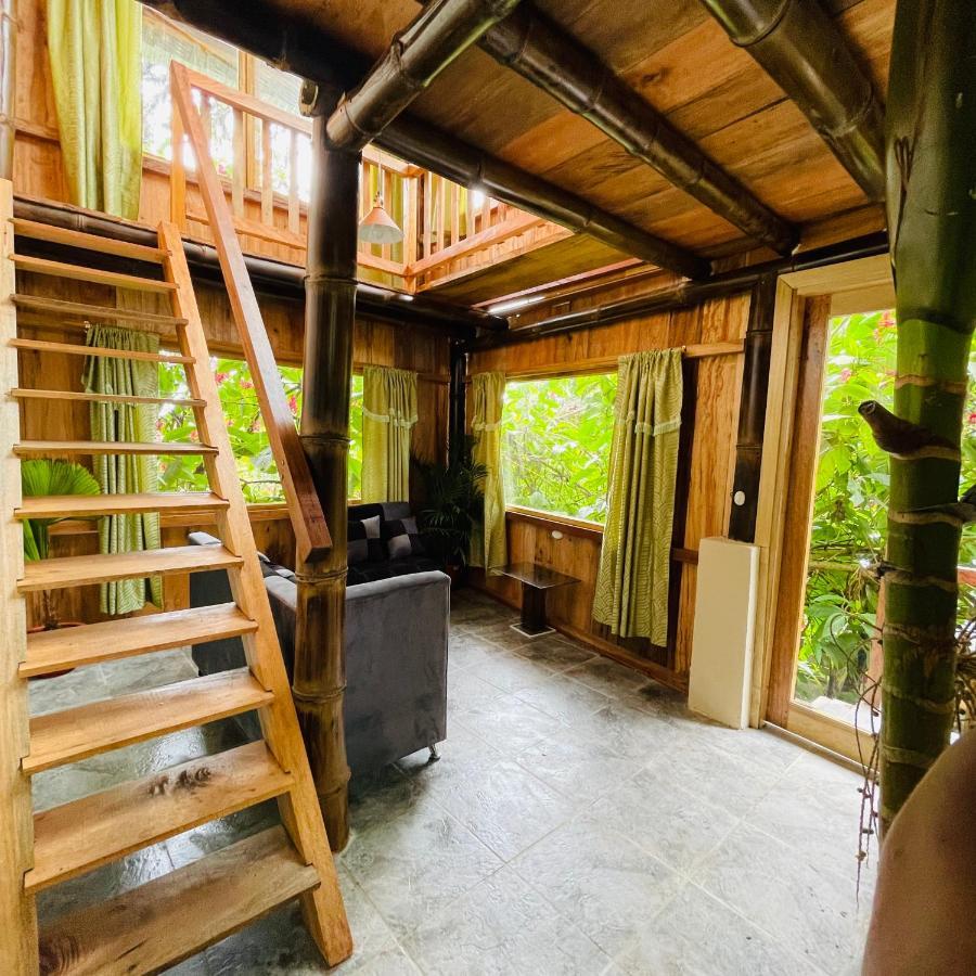 Vila Eden Treehouse Mindo Exteriér fotografie