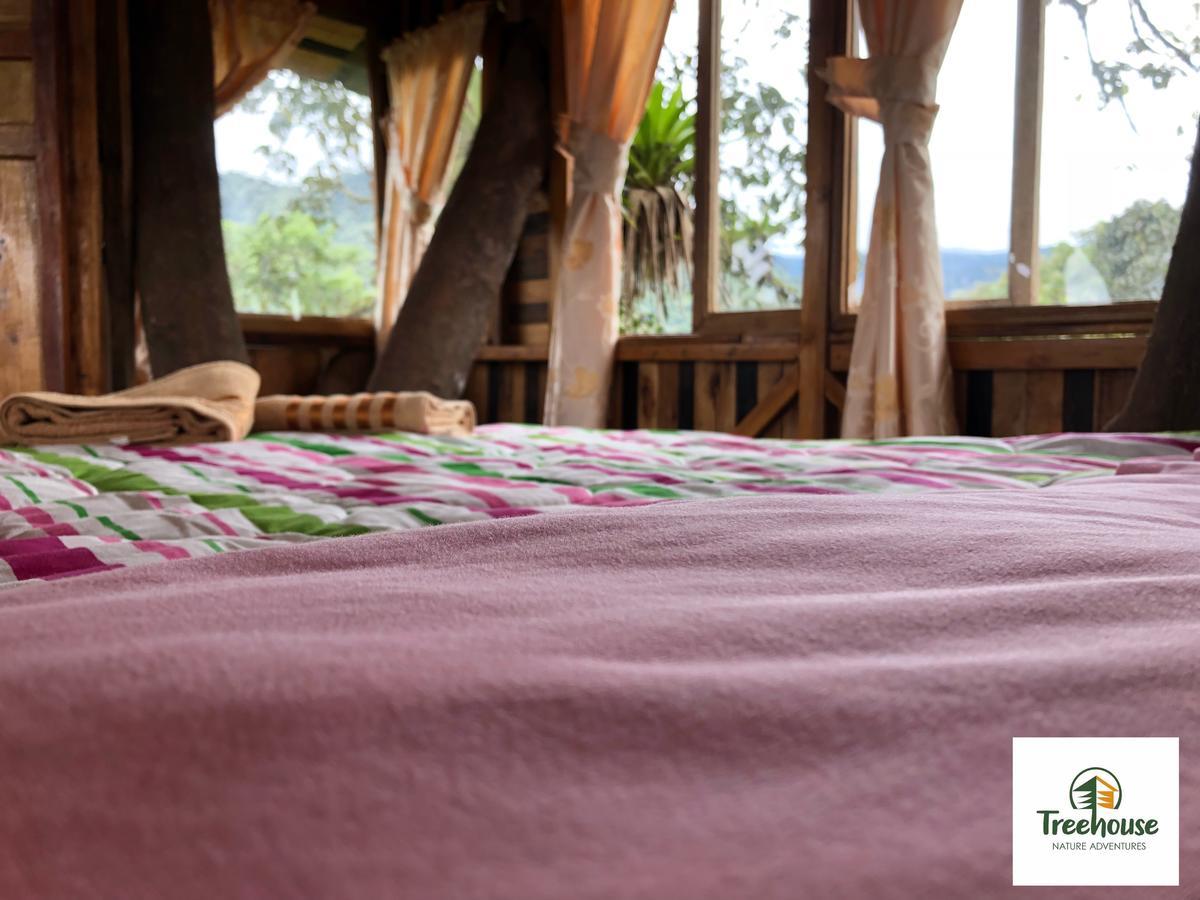Vila Eden Treehouse Mindo Exteriér fotografie