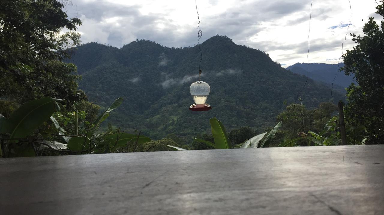 Vila Eden Treehouse Mindo Exteriér fotografie