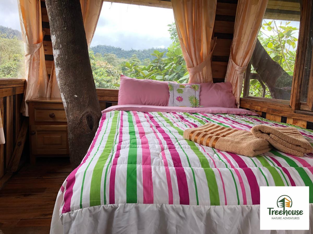 Vila Eden Treehouse Mindo Exteriér fotografie