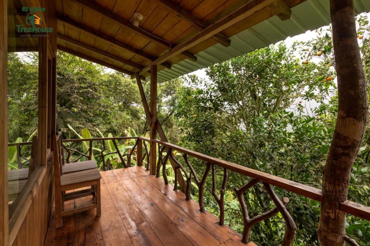 Vila Eden Treehouse Mindo Exteriér fotografie