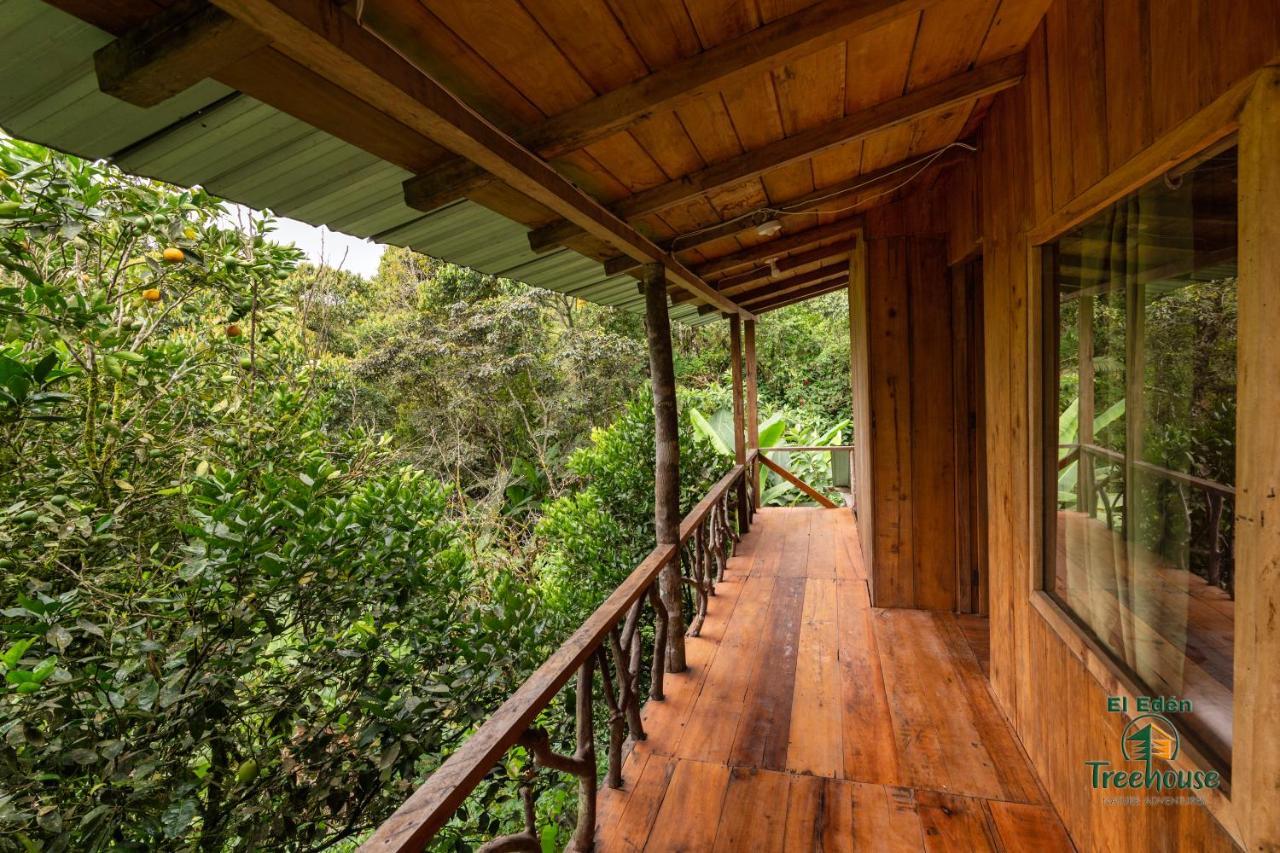 Vila Eden Treehouse Mindo Exteriér fotografie