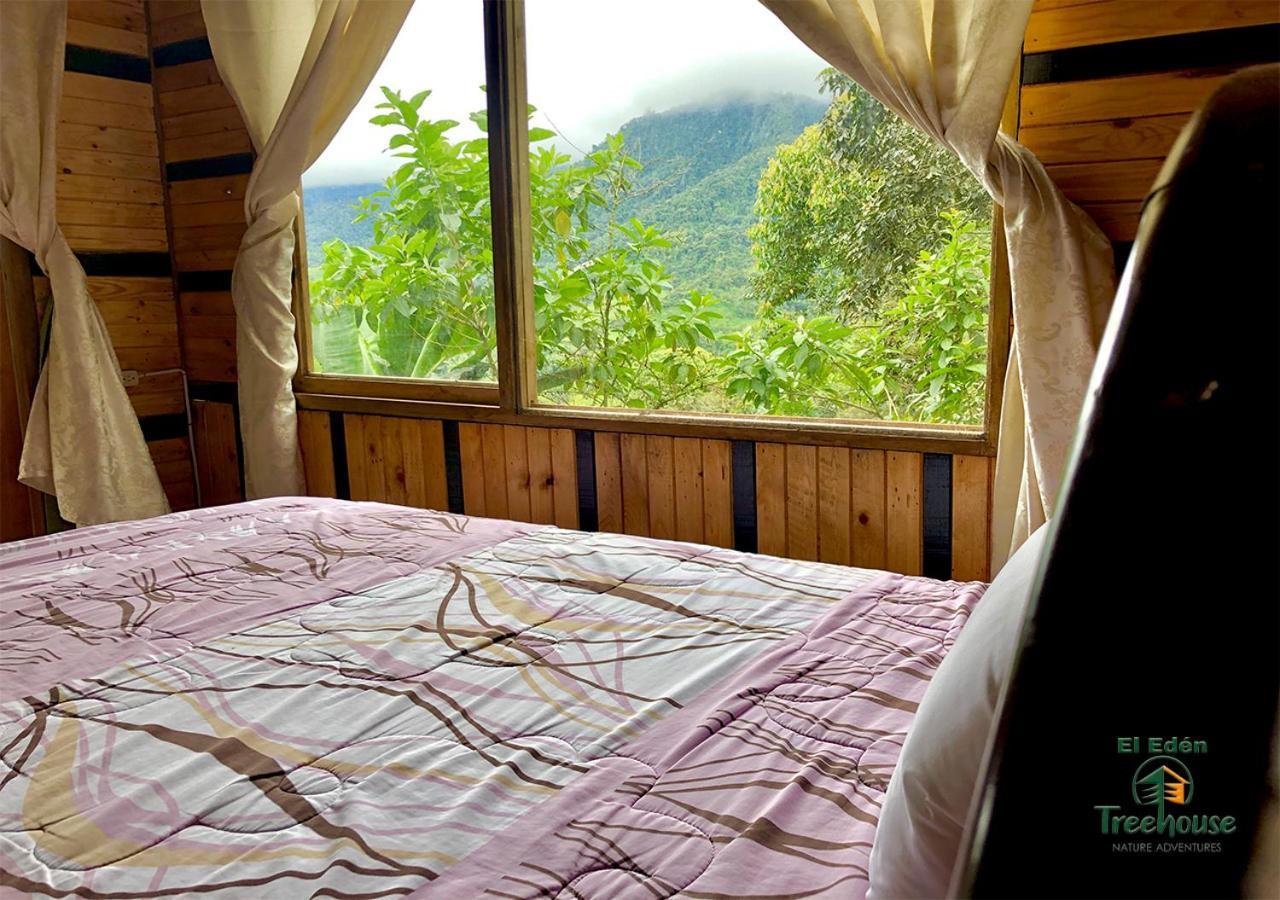 Vila Eden Treehouse Mindo Exteriér fotografie