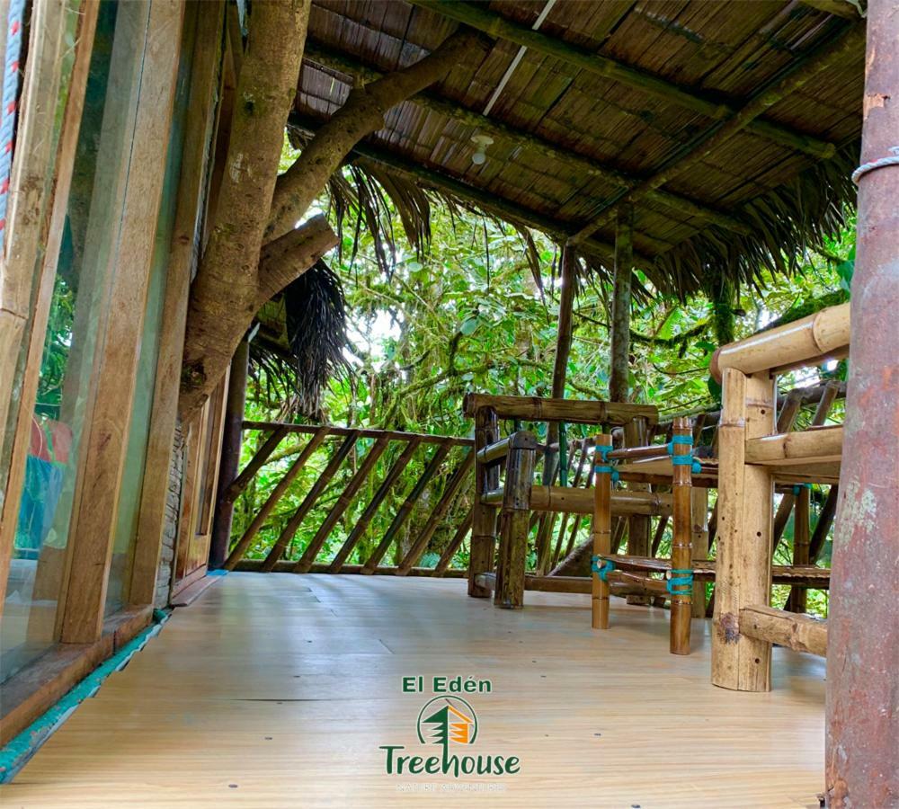 Vila Eden Treehouse Mindo Exteriér fotografie